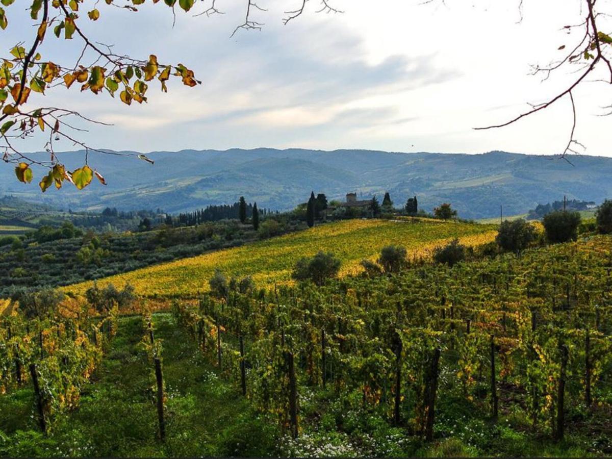 Holiday Home Locazione Turistica Selvapiana By Interhome Greve in Chianti Eksteriør bilde